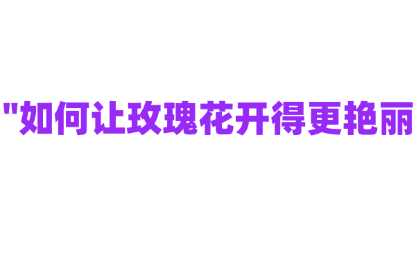 "如何让玫瑰花开得更艳丽？"